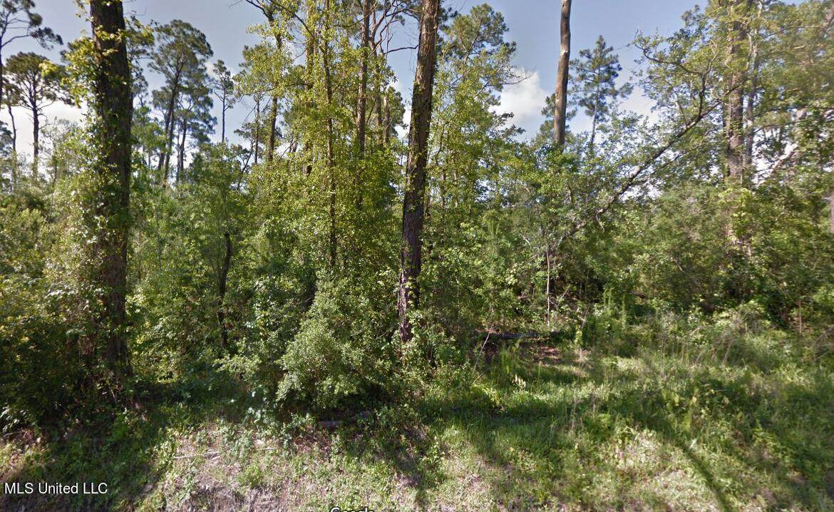 Lots 4 & 5 Walthall Road - Photo 1