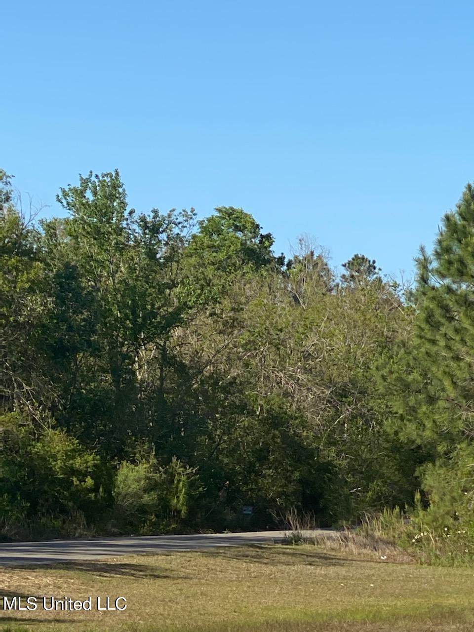 Hwy 43 & Jarbry Lane - Photo 1