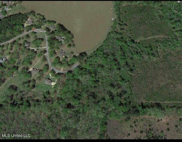0 Pine Lake Dr - Photo 1