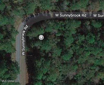 0 Sunnybrook Road - Photo 1