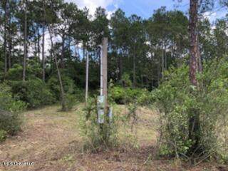 6 Acres Highway 614 - Photo 1