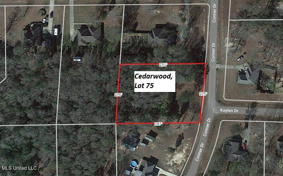 Lot 75 Conner Drive - Photo 1