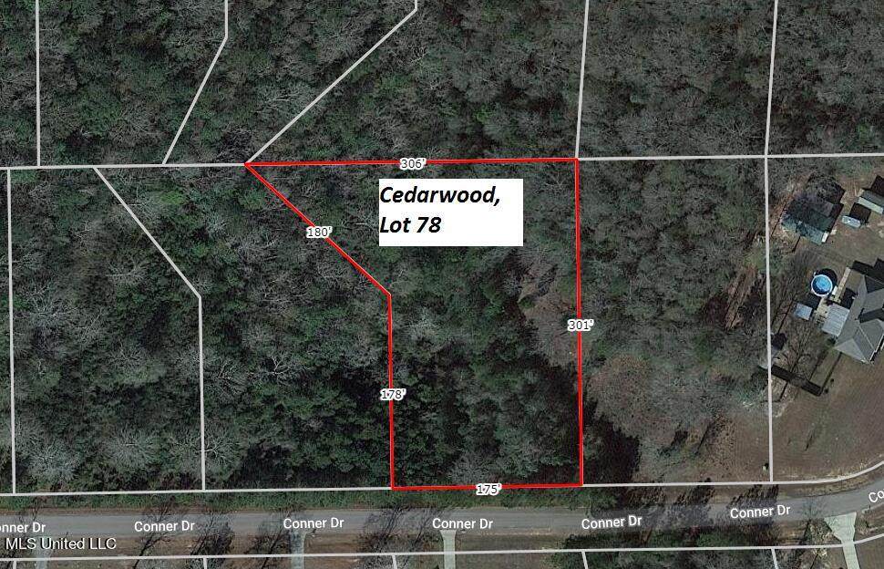 Lot 78 Conner Drive - Photo 1