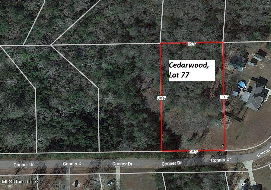 Lot 77 Conner Drive - Photo 1