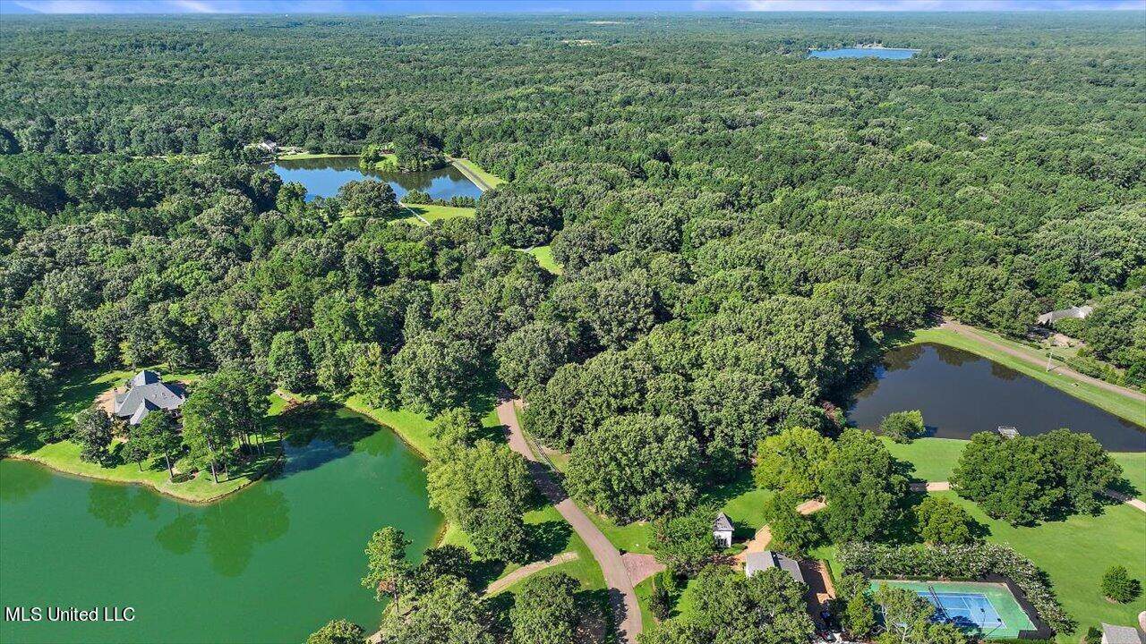 1063 Robinson Springs Road - Photo 1