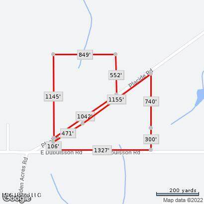 18072 Placide Road - Photo 1