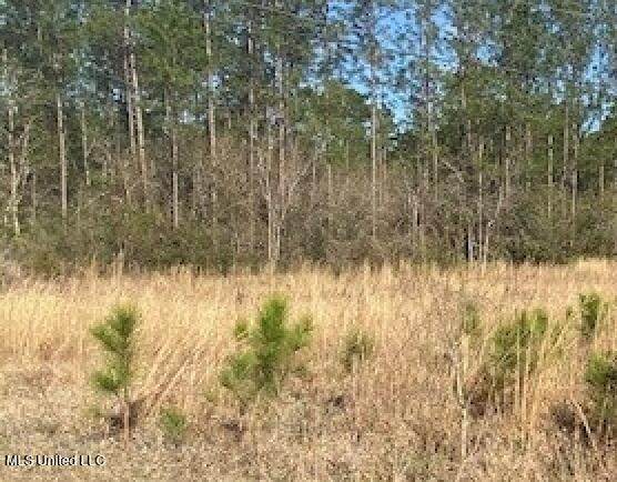 6617 Hans Road - Photo 1