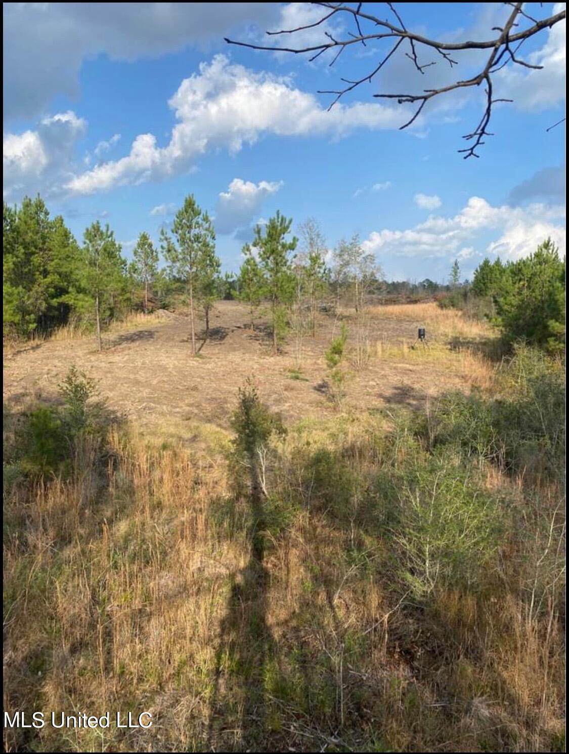 0 Old Dirt Road - Photo 1