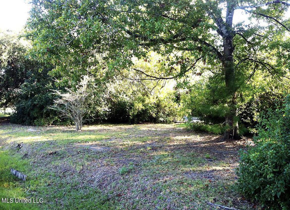 7314 Ahi Drive - Photo 1