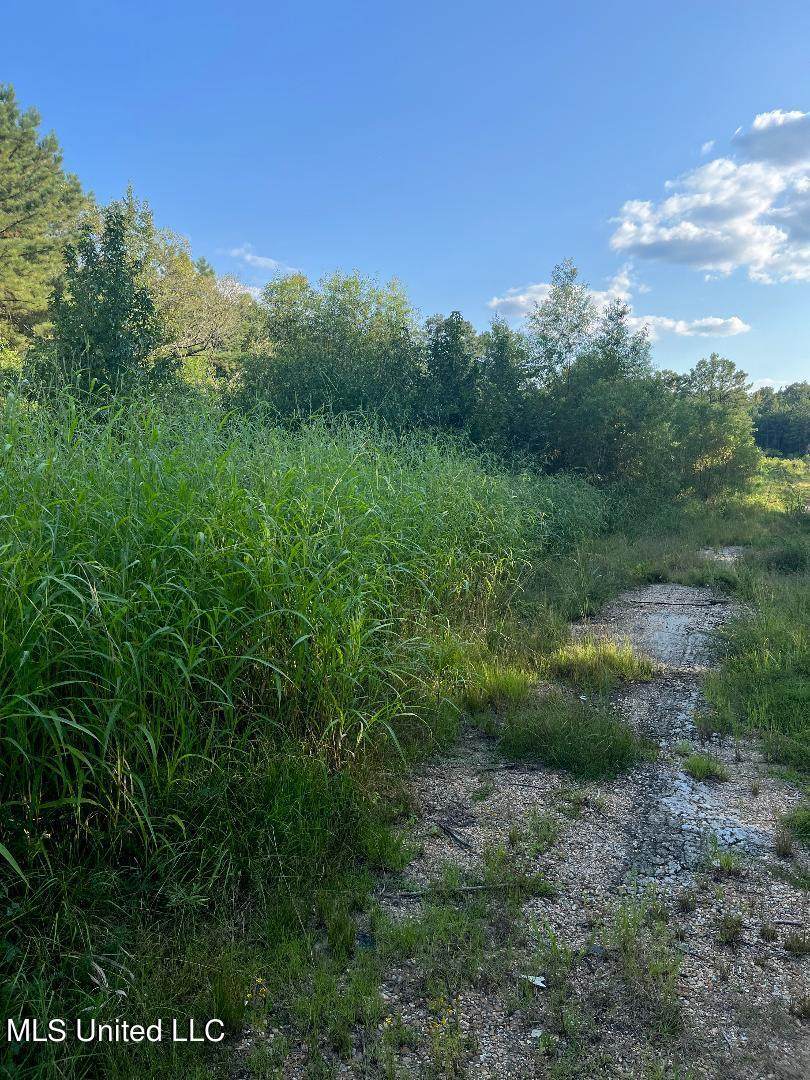 2800 Lake View Road - Photo 1