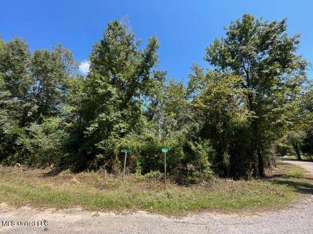 Lot 231 & 232 Plum Bluff Est - Photo 1