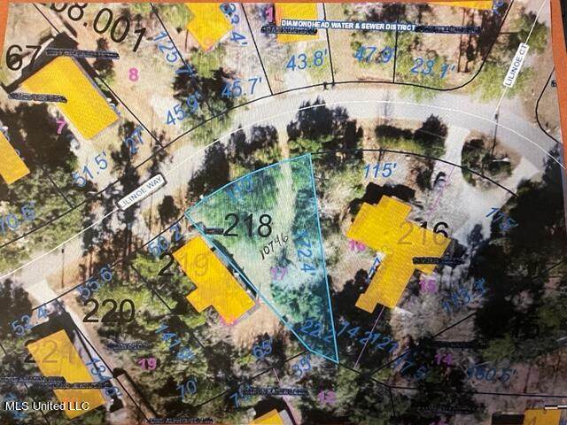 Lot 17 Lilinoe Way Way - Photo 1