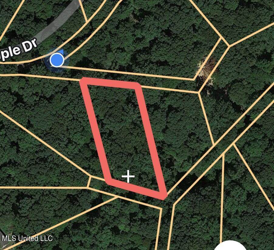 131 Maple Street - Photo 1