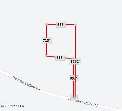 23454 Herman Ladner Road - Photo 1