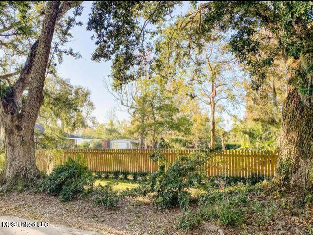 O Ballentine Street - Photo 1