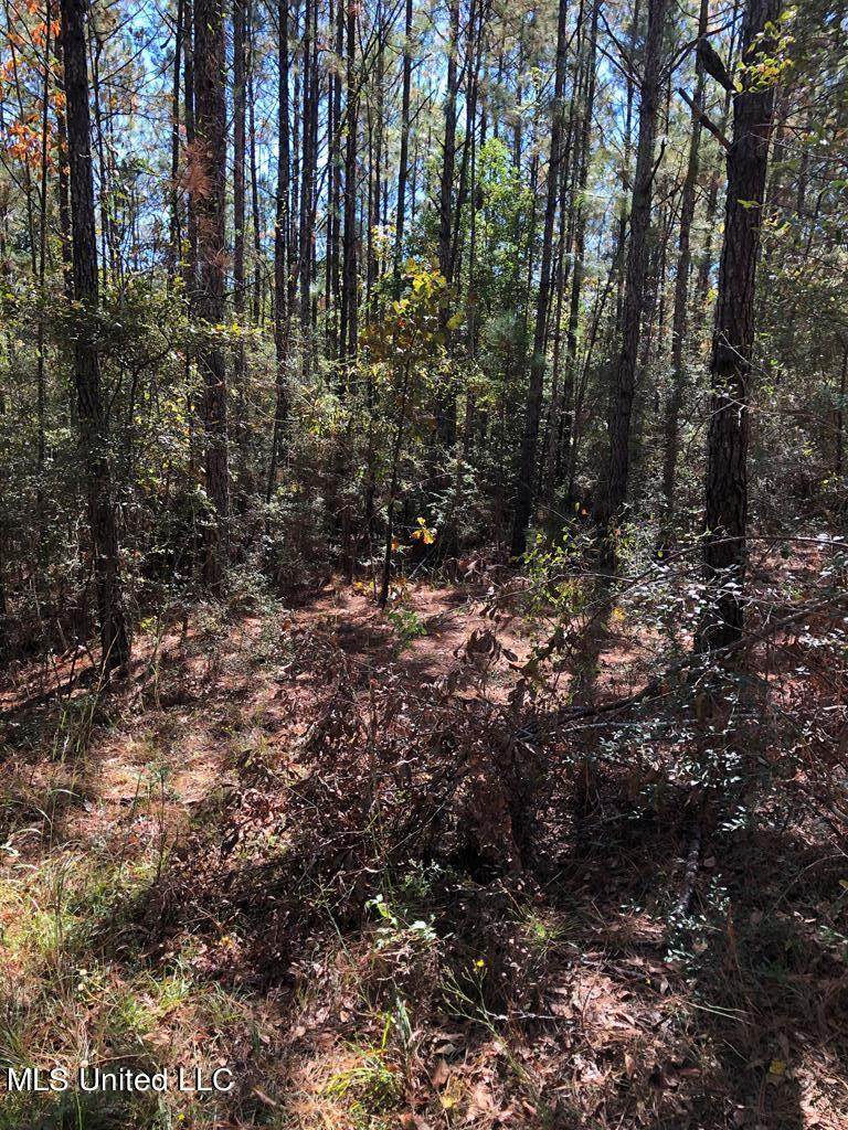 Nhn Hobolo Creek Road - Photo 1