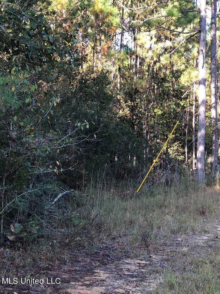 Nhn Chuck Penton Road - Photo 1