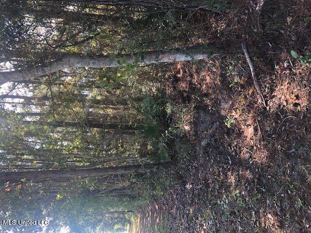 Lot 680 Sycamore Street - Photo 1