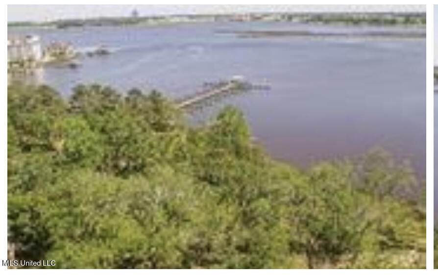 Lot 42 Savannah Estates Boulevard - Photo 1