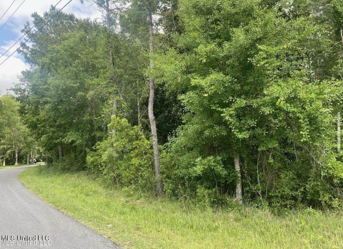 0 Millcreek Drive - Photo 1