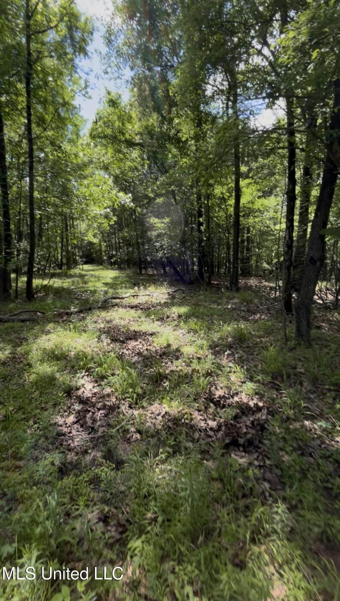 https://bt-photos.global.ssl.fastly.net/united/orig_boomver_1_4062784-2.jpg