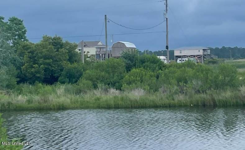 00 St Ann Drive - Photo 1