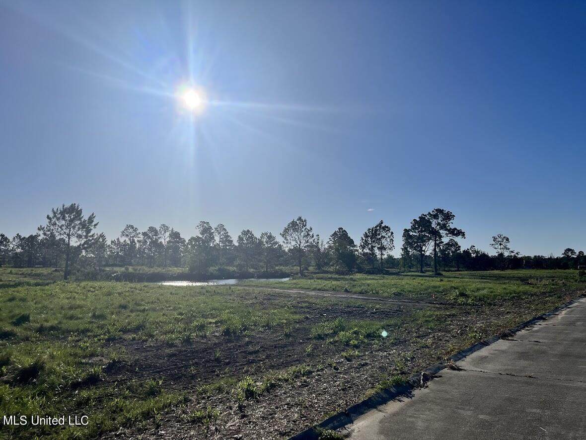 Lot 99 Bahama Drive - Photo 1