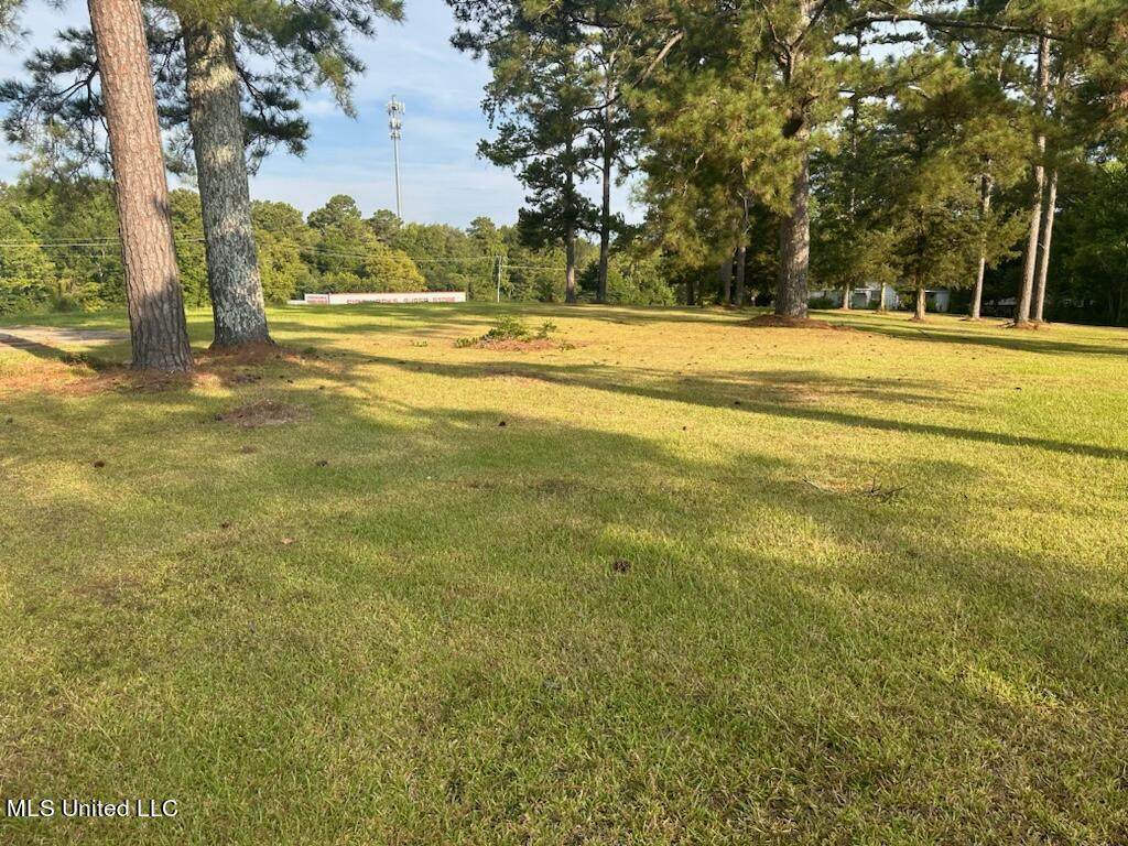 1530 Hwy 49 - Photo 1