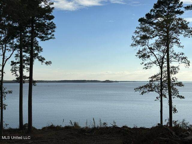 Lot 23 Neptune Shore - Photo 1