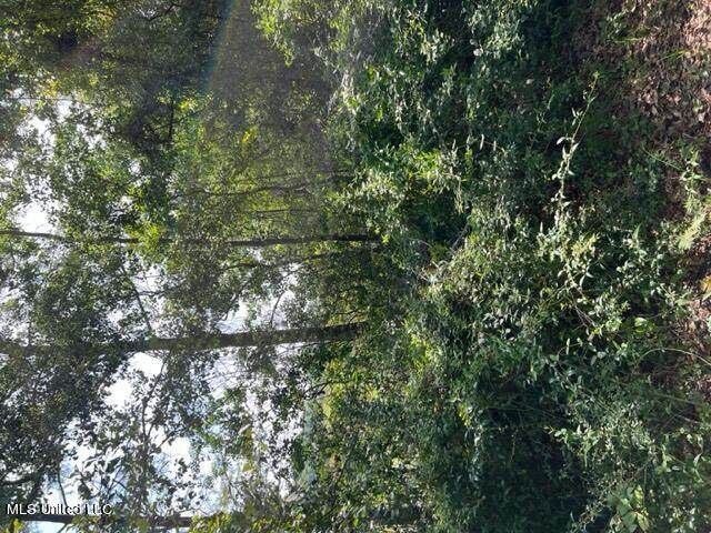 0 Orrell Drive - Photo 1