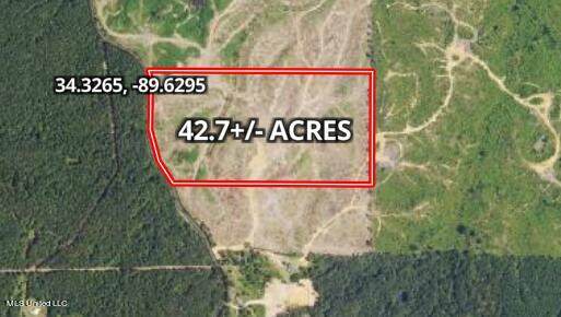  Co Rd 309 - Photo 1