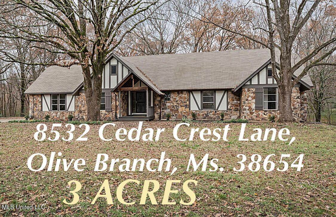8532 Cedar Crest Lane - Photo 1