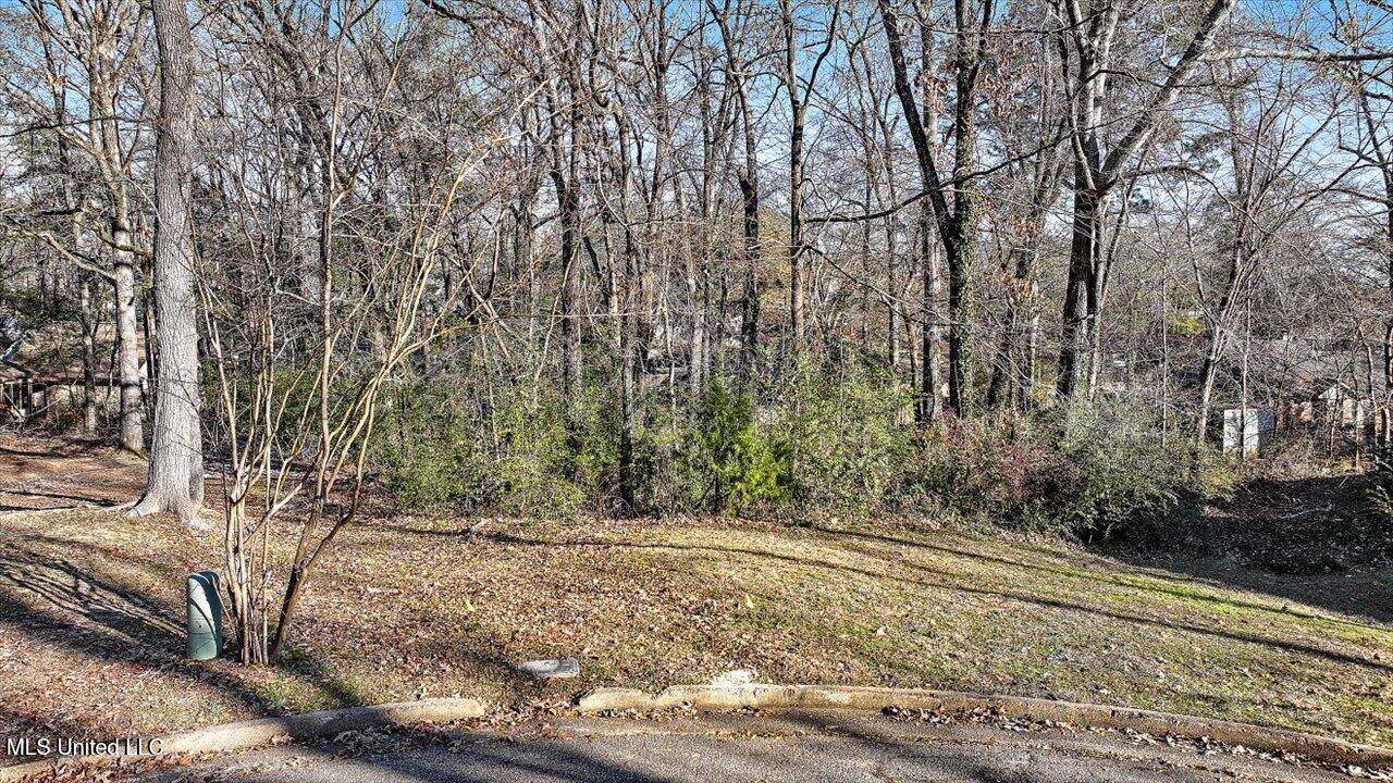  Mauri Cove - Photo 1