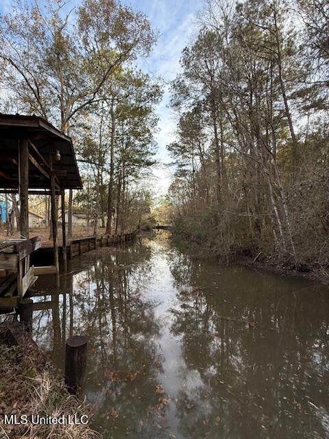 2498 Bayou Oaks Street - Photo 1