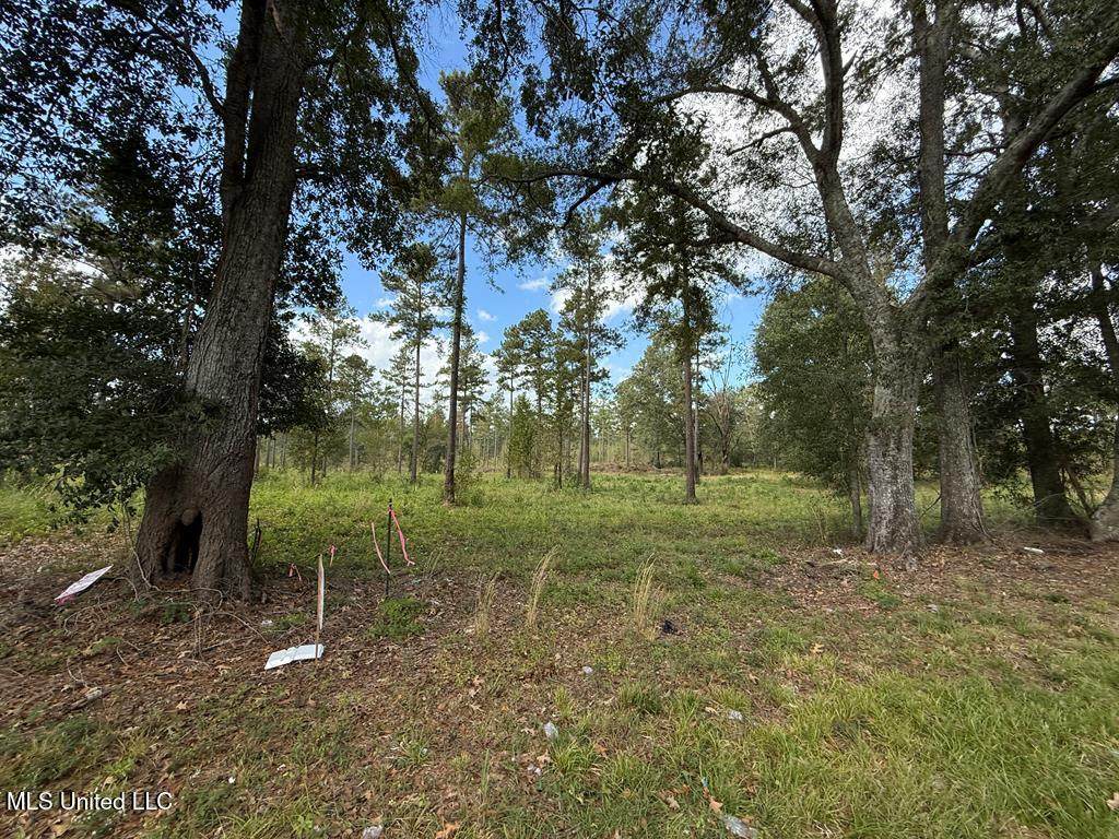  Old Hwy 33 - Photo 1