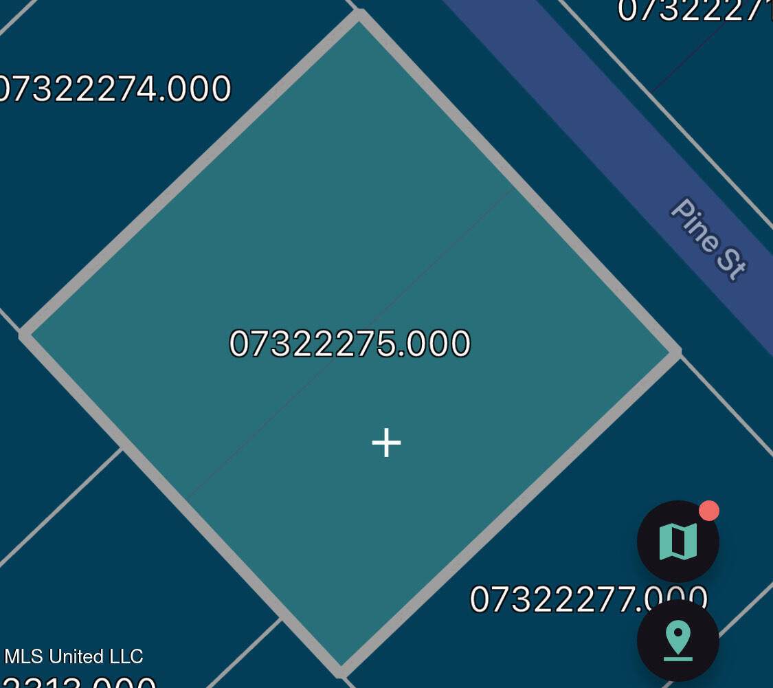 1211 Pine Street - Photo 1