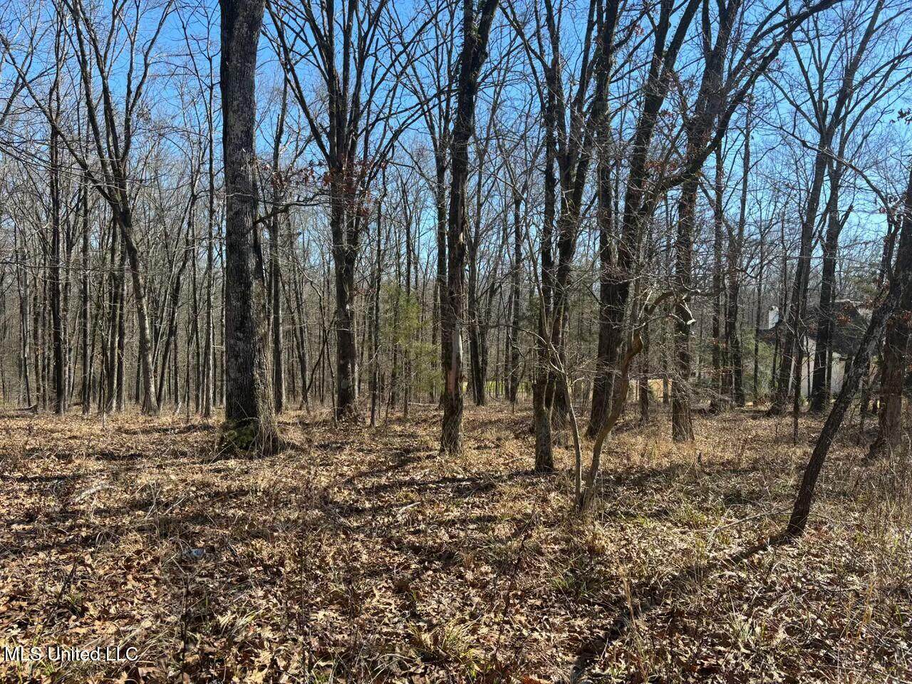 123 Bridgewater Bend Bend - Photo 1