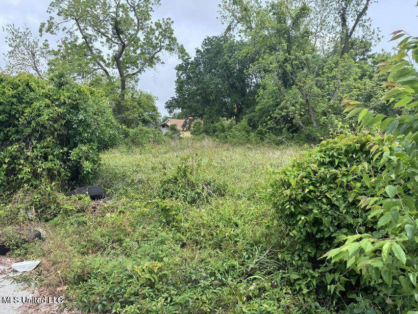  Todd Alley - Photo 1