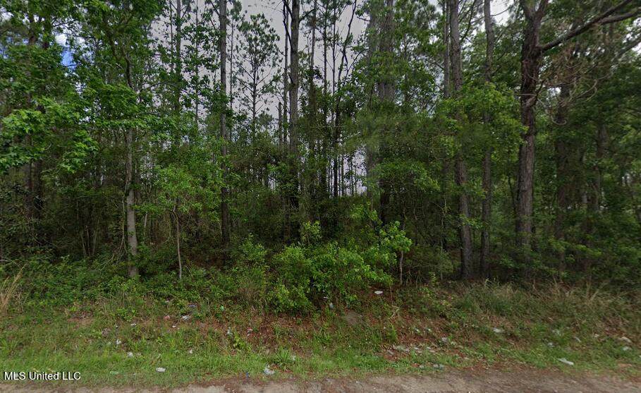 0 Hinds Street - Photo 1