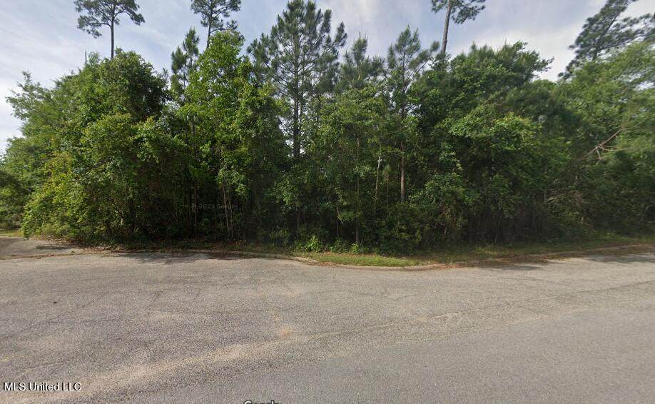 0 Blue Lake Cove - Photo 1