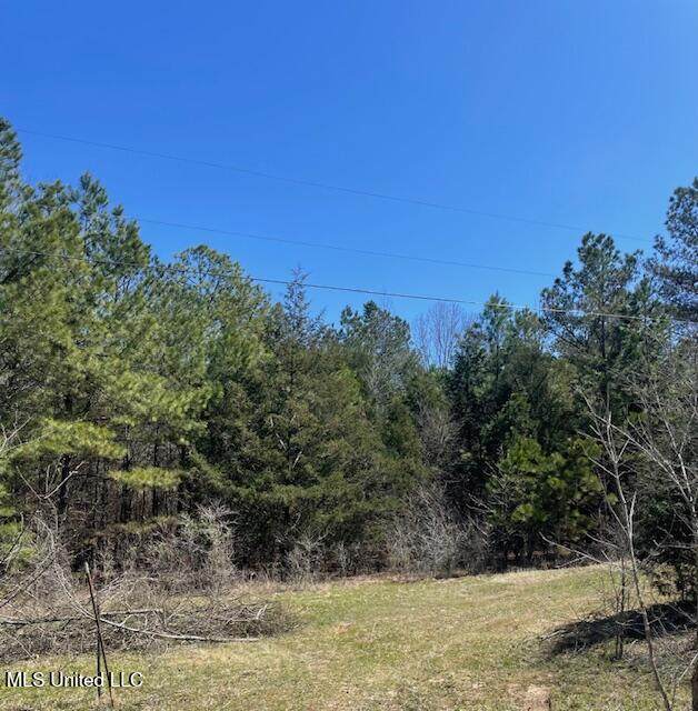 Tate Marshall Rd Road - Photo 1