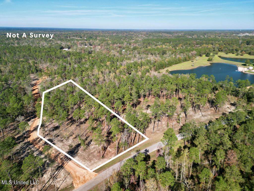 3.81 Acre Cowart Holliday Road - Photo 1