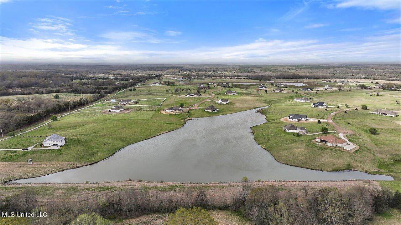 0 Cane Creek Road - Photo 1