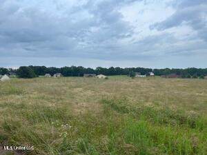 2836 Oak Grove Cove - Photo 1