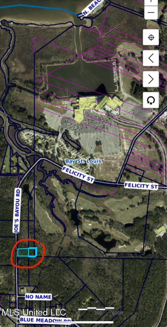  Joe's Bayou Rd - Photo 1