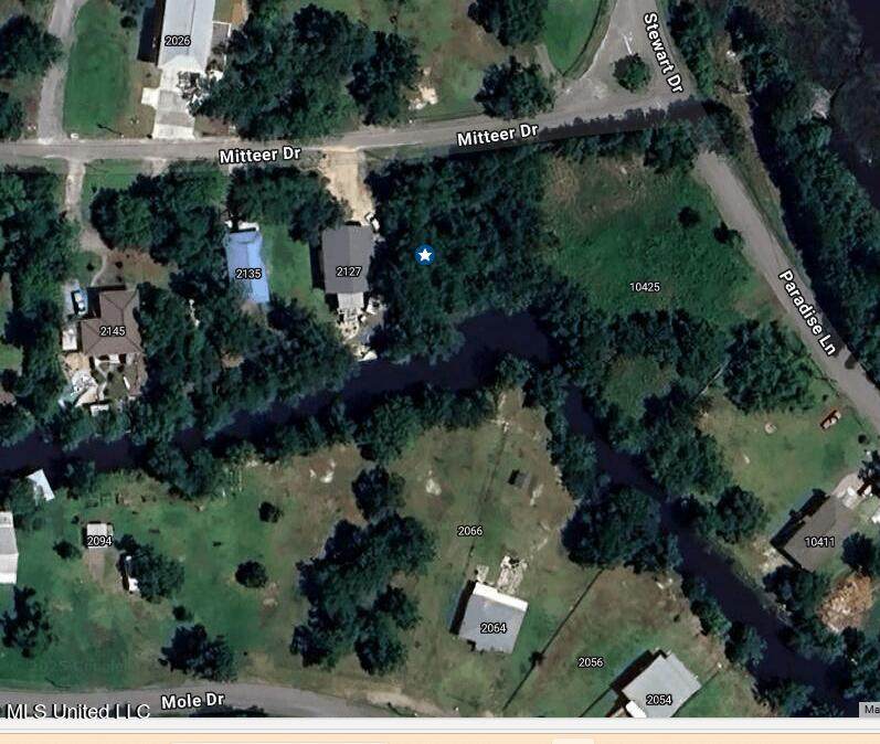  Mitteer Drive - Photo 1