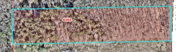 6163 Barton Desoto Road - Photo 1