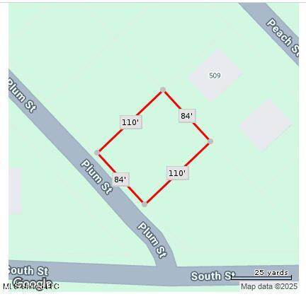  Plum Street - Photo 1