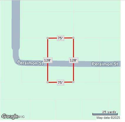  Persimmon Avenue - Photo 1