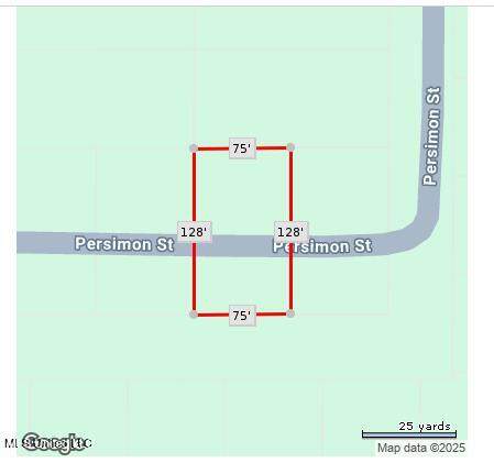  Persimmon Avenue - Photo 1